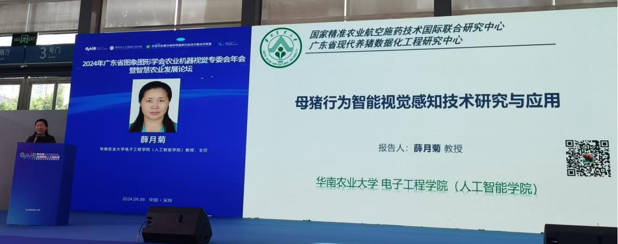 1726072914126789.png 图片5.png